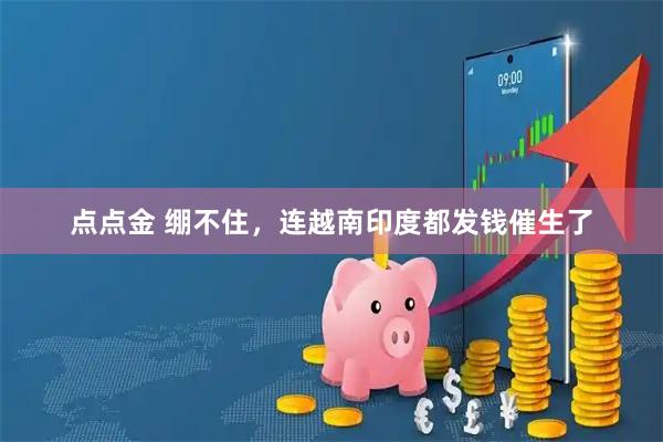 点点金 绷不住，连越南印度都发钱催生了